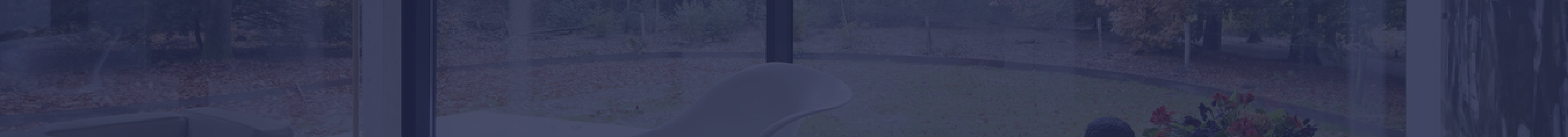 Footer image